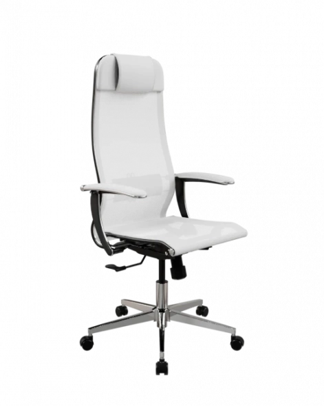 Кресло SynchroSit 10 Кресло ErgoLife Set 4/подл.158/осн.Synchro 004