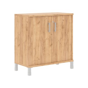 Шкаф низкий с замком в глухих малых дверях B 410.3(RZ) 900х450х920 BORN